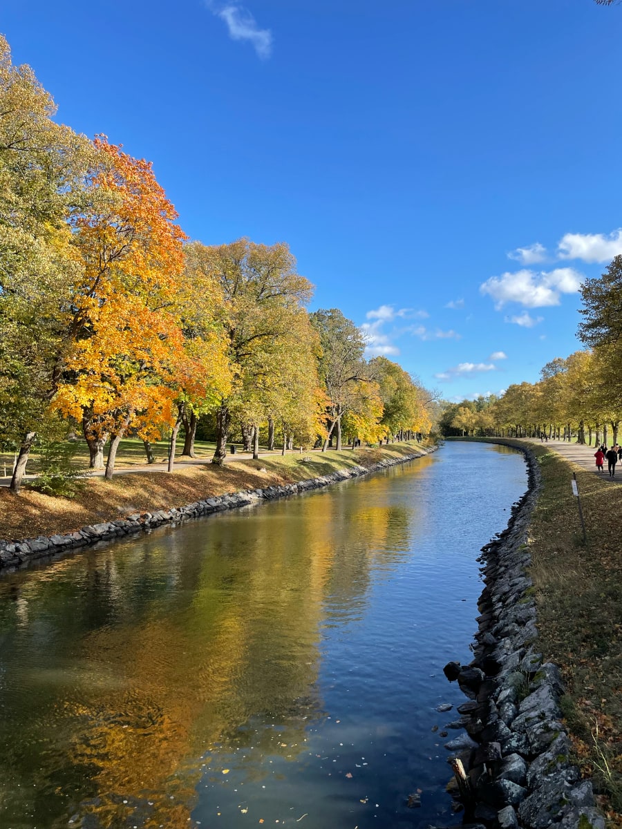 Trees turning colors along a waterway
