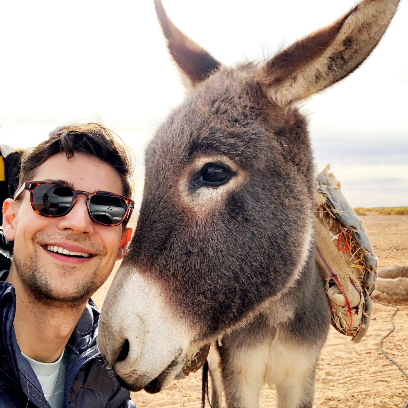 Jeremiah selfie with donkey