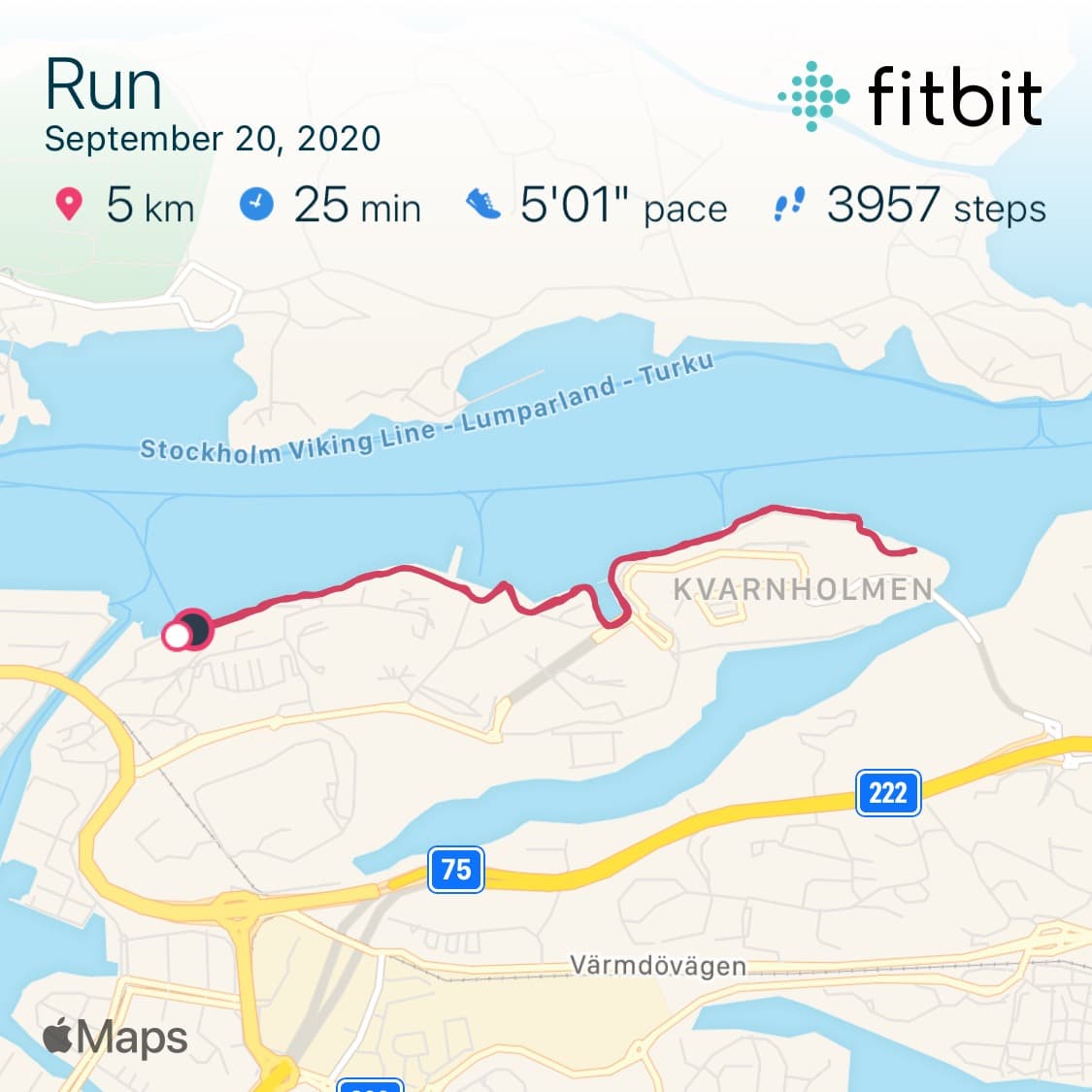 Screenshot of 5 km run in Fitbit