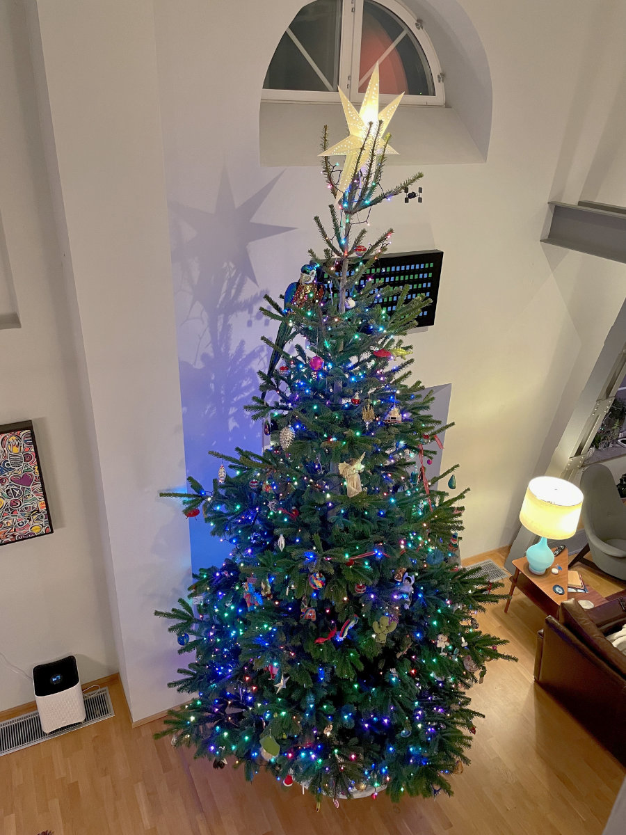 4.5 meter tree viewed from second floor loft