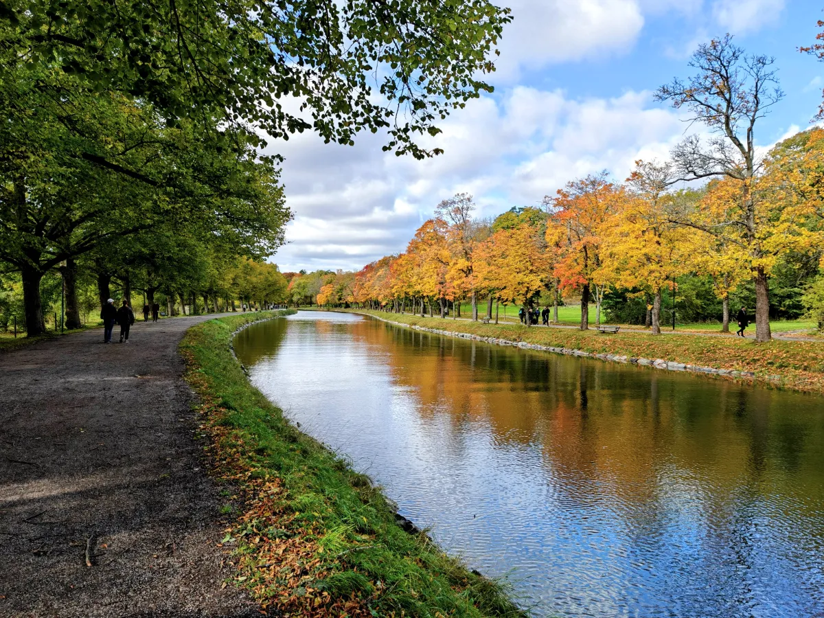 Trees changing colors in the fall alongside a river