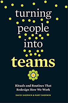 Book cover for Turning People into Teams