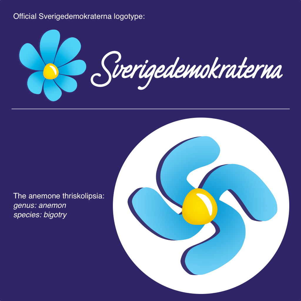 Comparison of the official Sverigedemokraterna icon and logotype. The icon is a light blue flower with 6 petals blowing in a clockwise direction witih a yellow center. The SDstika removes 2 petals and extends the 4 remaining petals into a swastika shape. Text: The anemone thriskolipsia. Genus: anemon. Species: bigotry